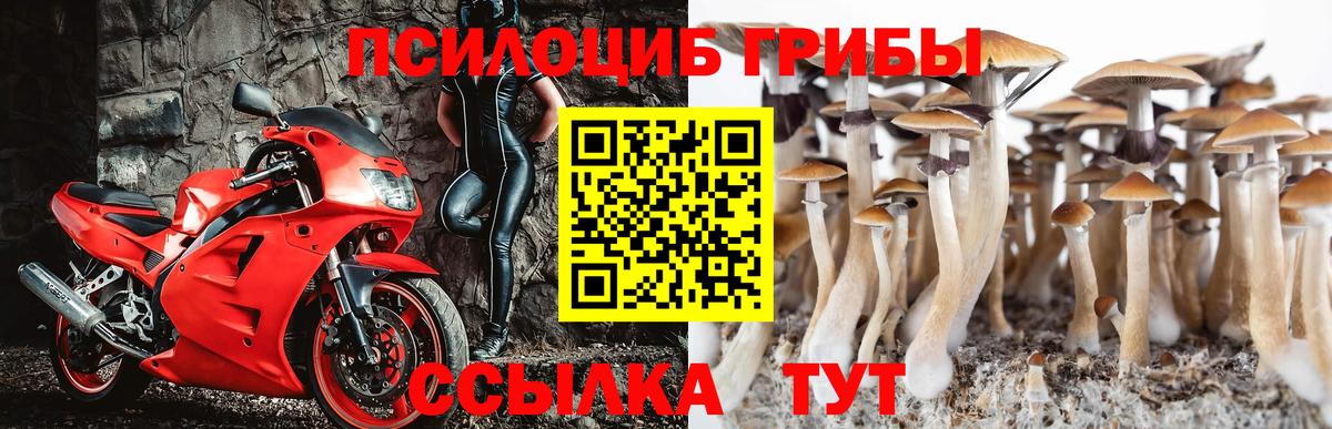 Галлюциногенные грибы ЛСД  Вход с VPN  Дмитров 